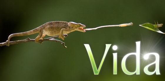 vida_thumb É a vida, é bonita e é bonita!