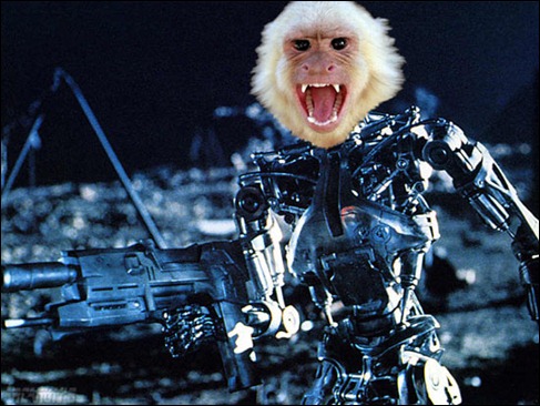 Robot-monkey-terminators