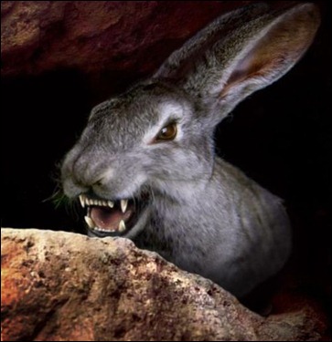 night_of_the_lepus_fangs