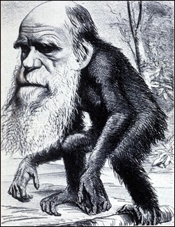 Darwin_monkey_cartoon