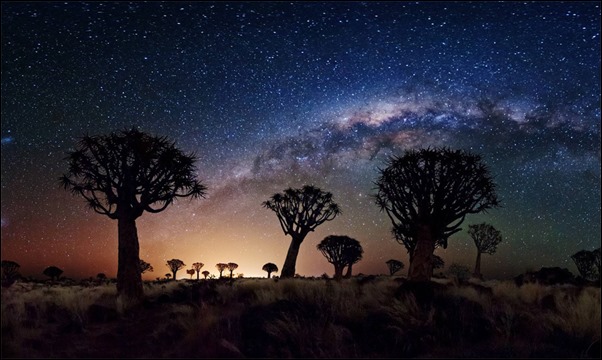 milky-way-over-quiver-tree-forest