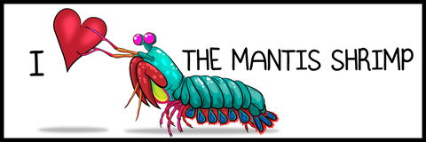 mantis_bumper_export_large